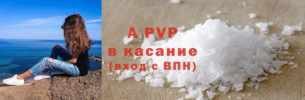 индика Ельня