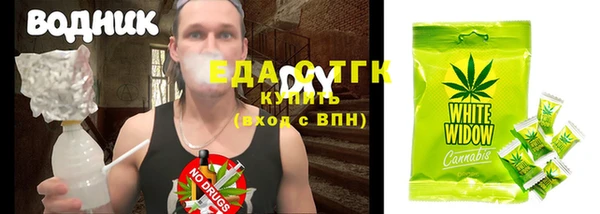 индика Ельня