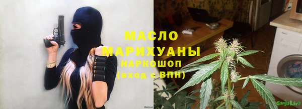 индика Ельня