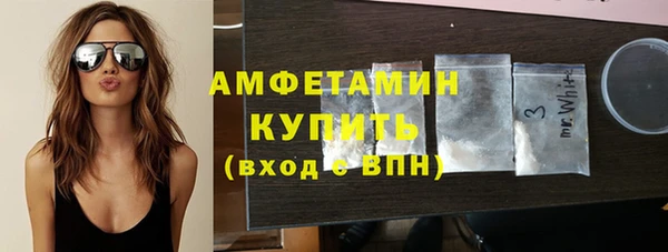 индика Ельня