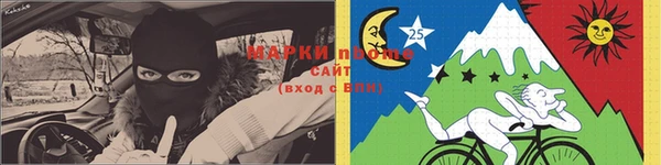 индика Ельня