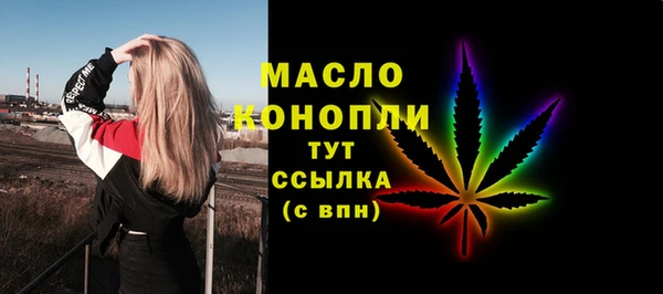 индика Ельня