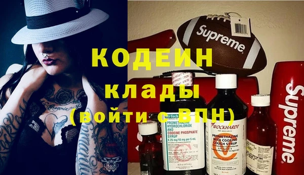 индика Ельня