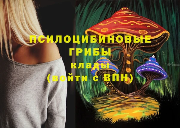 скорость Елизово