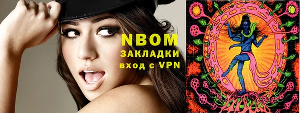 индика Ельня