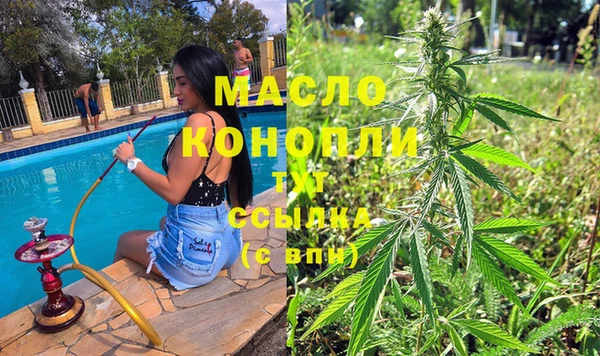 индика Ельня