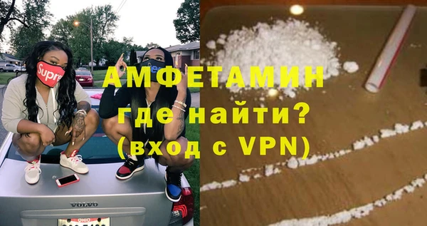индика Ельня