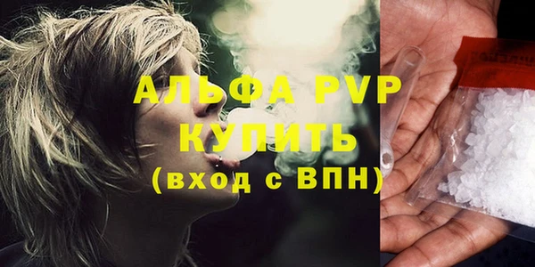 индика Ельня