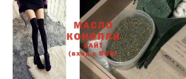 индика Ельня