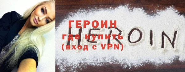 индика Ельня