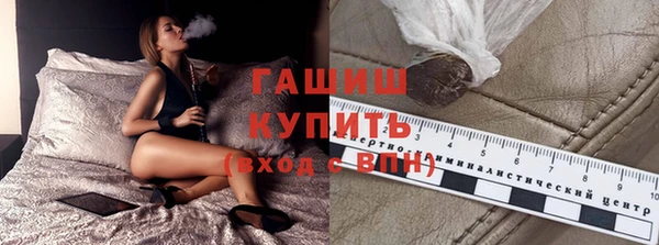 индика Ельня