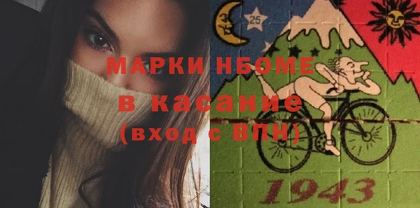 индика Ельня