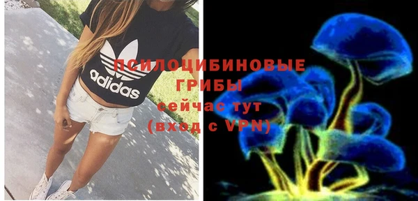 скорость Елизово