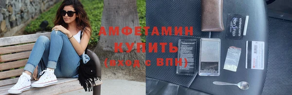 индика Ельня