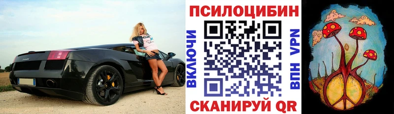 Купить  Новоалександровск  Псилоцибиновые грибы мицелий 